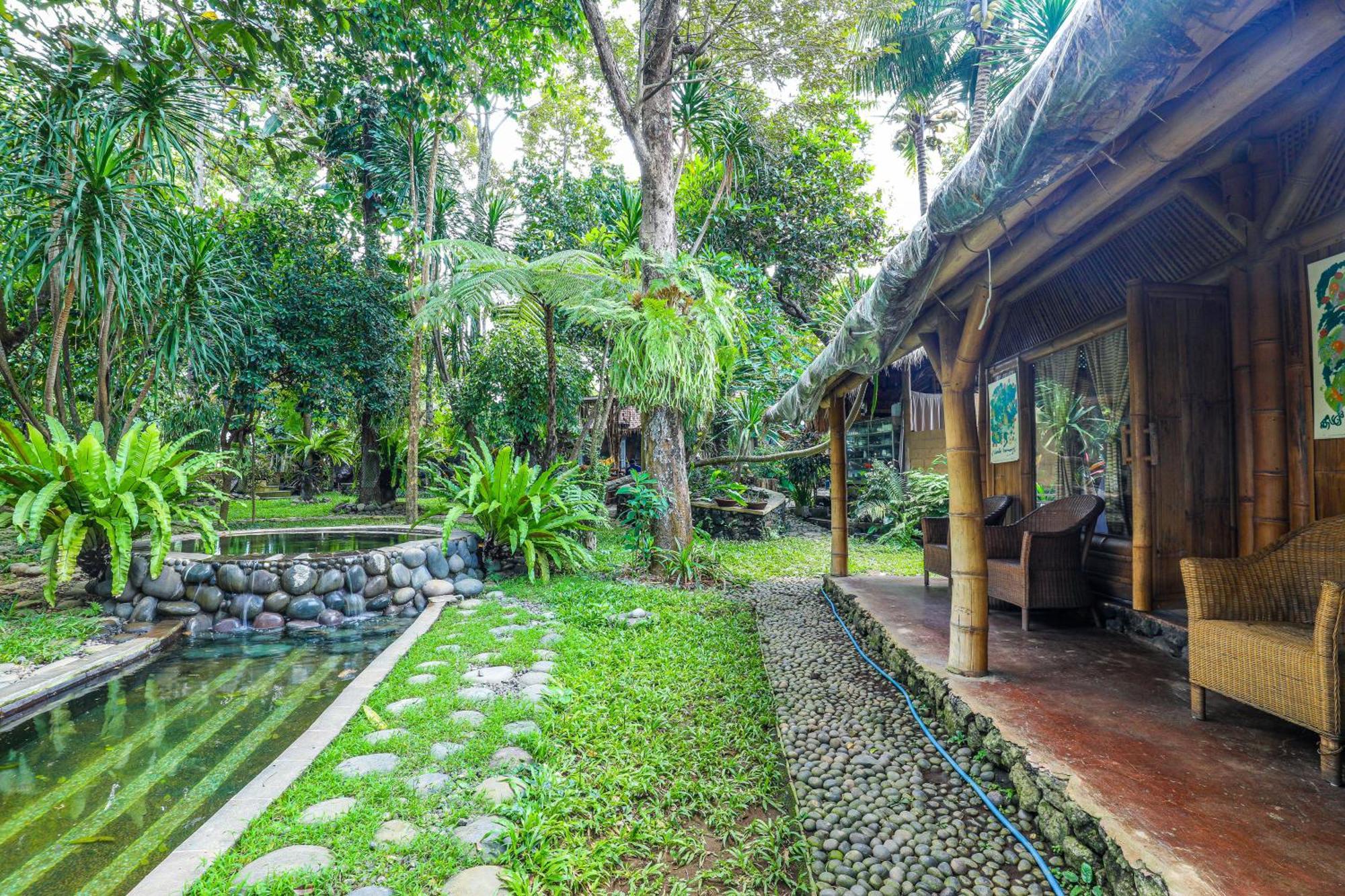 Hotel Omunity Bali Singaraja Esterno foto