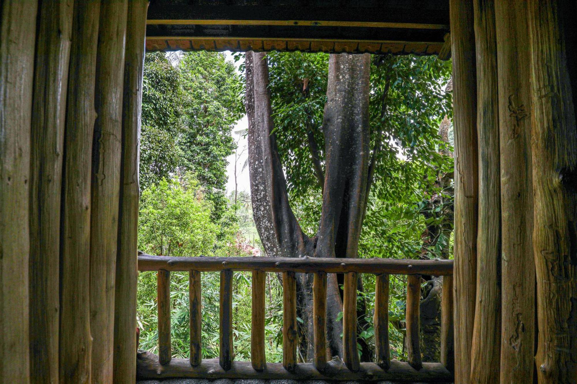 Hotel Omunity Bali Singaraja Esterno foto