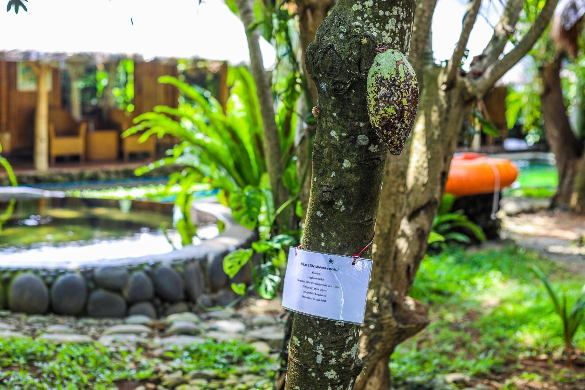 Hotel Omunity Bali Singaraja Esterno foto