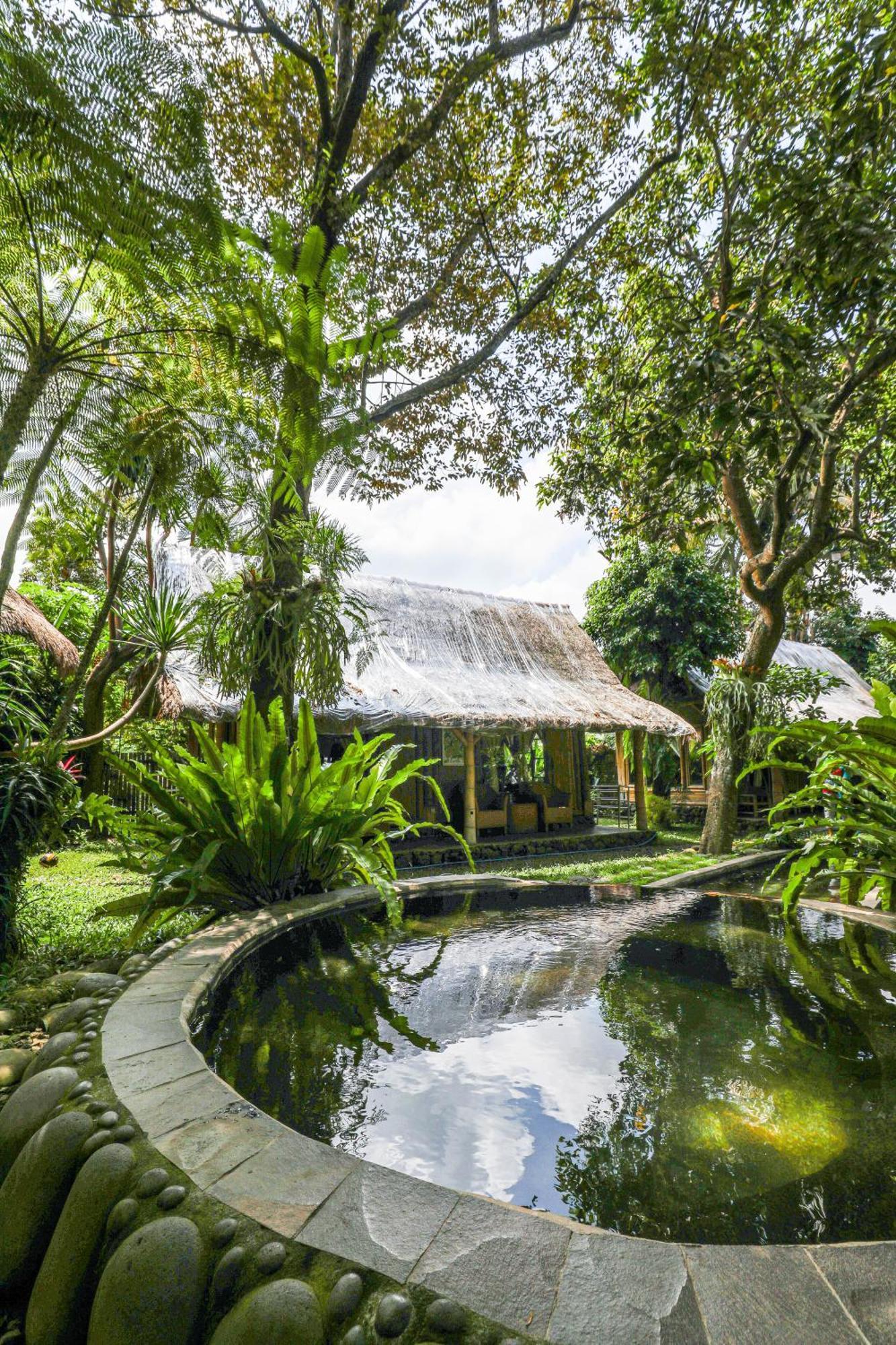 Hotel Omunity Bali Singaraja Esterno foto